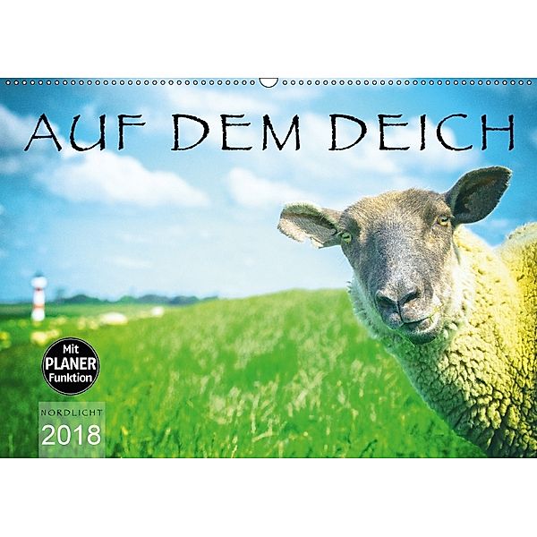 AUF DEM DEICH (Wandkalender 2018 DIN A2 quer), Nordlicht