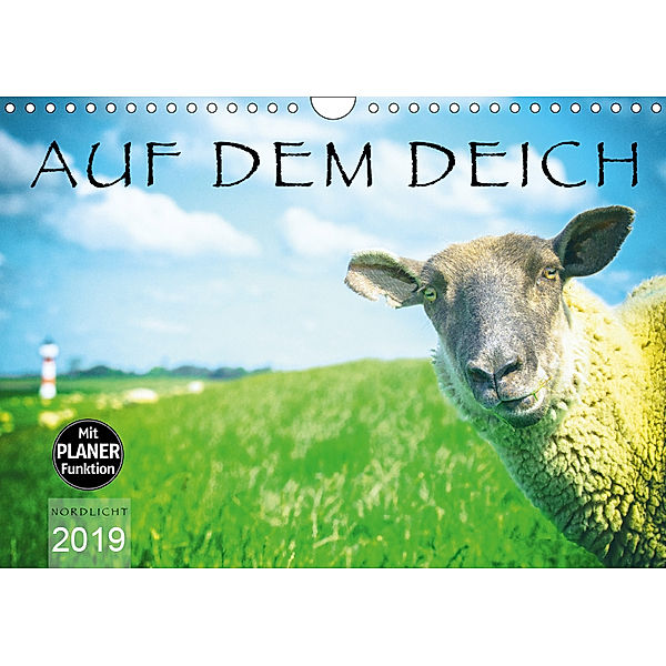 AUF DEM DEICH (Wandkalender 2019 DIN A4 quer), Nordlicht