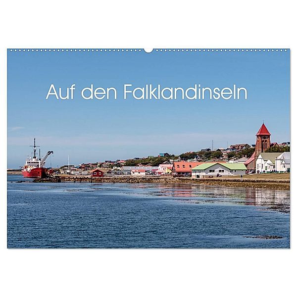 Auf den Falklandinseln (Wandkalender 2025 DIN A2 quer), CALVENDO Monatskalender, Calvendo, Berlin, Andreas Schön