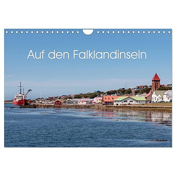 Auf den Falklandinseln (Wandkalender 2025 DIN A4 quer), CALVENDO Monatskalender, Calvendo, Berlin, Andreas Schön