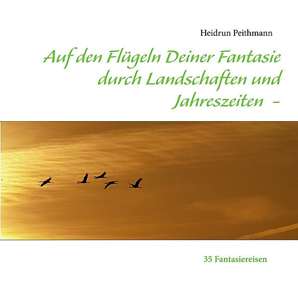 Auf den Flügeln Deiner Fantasie durch Landschaften und Jahreszeiten, Heidrun Peithmann