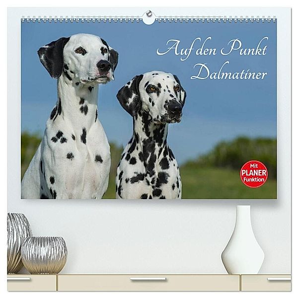 Auf den Punkt - Dalmatiner (hochwertiger Premium Wandkalender 2025 DIN A2 quer), Kunstdruck in Hochglanz, Calvendo, Sigrid Starick
