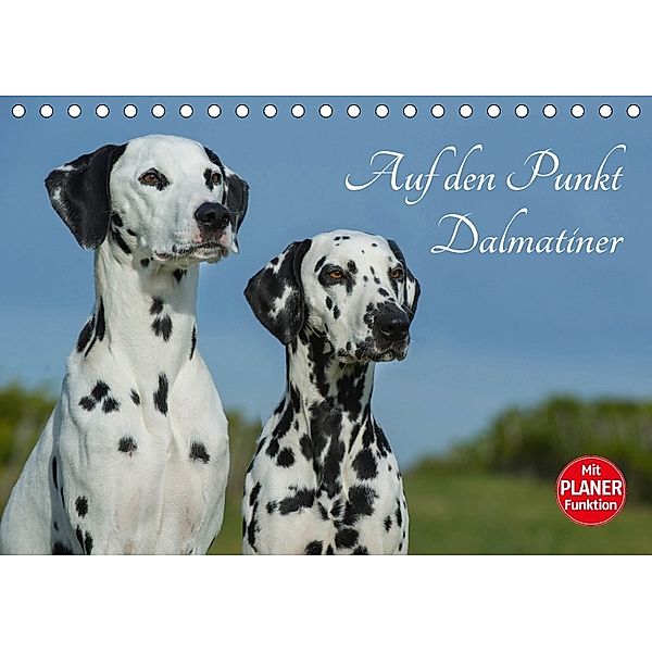 Auf den Punkt - Dalmatiner (Tischkalender 2018 DIN A5 quer), Sigrid Starick