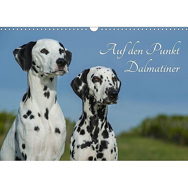 Auf den Punkt - Dalmatiner (Wandkalender 2023 DIN A3 quer), Sigrid Starick