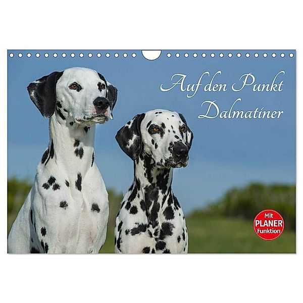 Auf den Punkt - Dalmatiner (Wandkalender 2025 DIN A4 quer), CALVENDO Monatskalender, Calvendo, Sigrid Starick