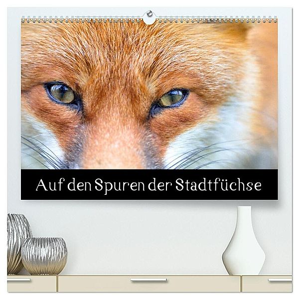 Auf den Spuren der Stadtfüchse (hochwertiger Premium Wandkalender 2024 DIN A2 quer), Kunstdruck in Hochglanz, Antonia Krämer
