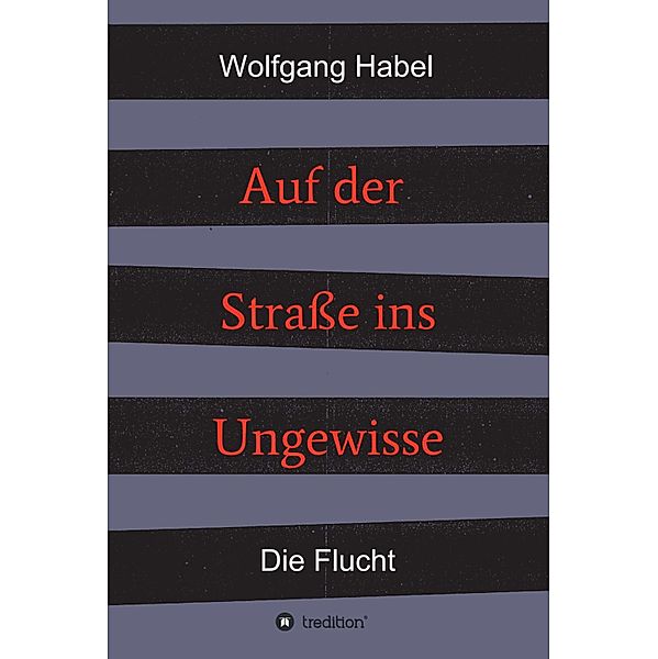 Auf der Strasse ins Ungewisse / 2 Bände: Auf der Strasse ins Ungewisse Bd.1, Wolfgang Habel