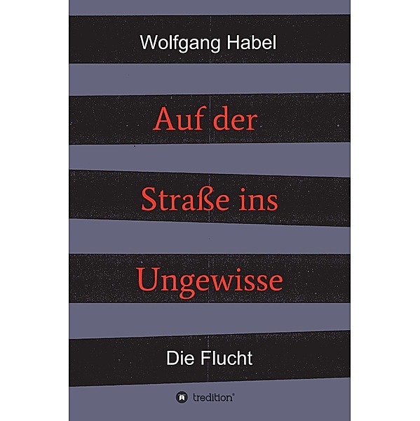 Auf der Straße ins Ungewisse / 2 Bände: Auf der Straße ins Ungewisse Bd.1, Wolfgang Habel