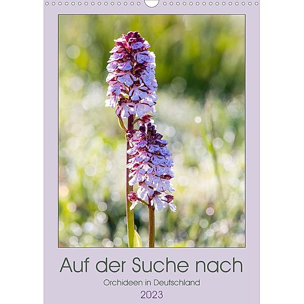 Auf der Suche nach Orchideen in Deutschland (Wandkalender 2023 DIN A3 hoch), Janita Webeler