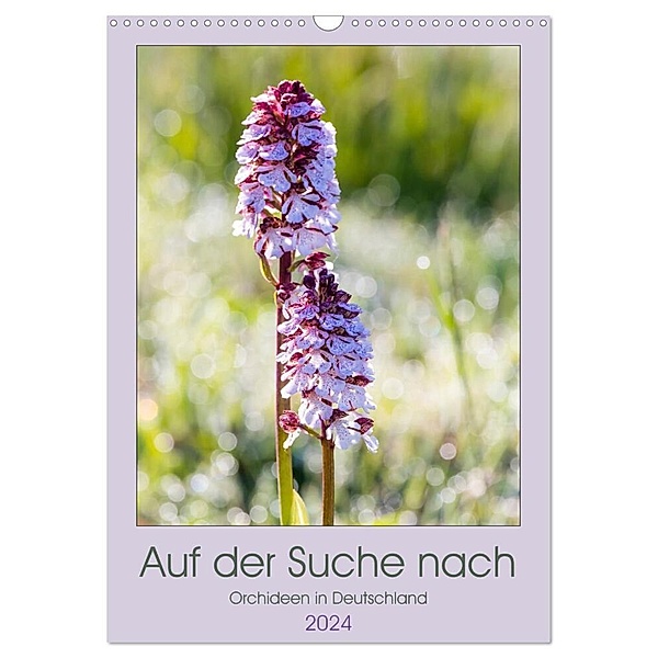 Auf der Suche nach Orchideen in Deutschland (Wandkalender 2024 DIN A3 hoch), CALVENDO Monatskalender, Janita Webeler