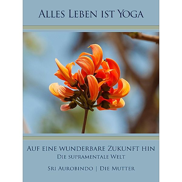 Auf eine wunderbare Zukunft hin, Sri Aurobindo, Die (D. I. Mira Alfassa) Mutter