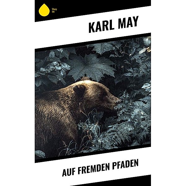 Auf fremden Pfaden, Karl May