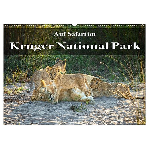 Auf Safari im Kruger National Park (Wandkalender 2024 DIN A2 quer), CALVENDO Monatskalender, Stephan Henting