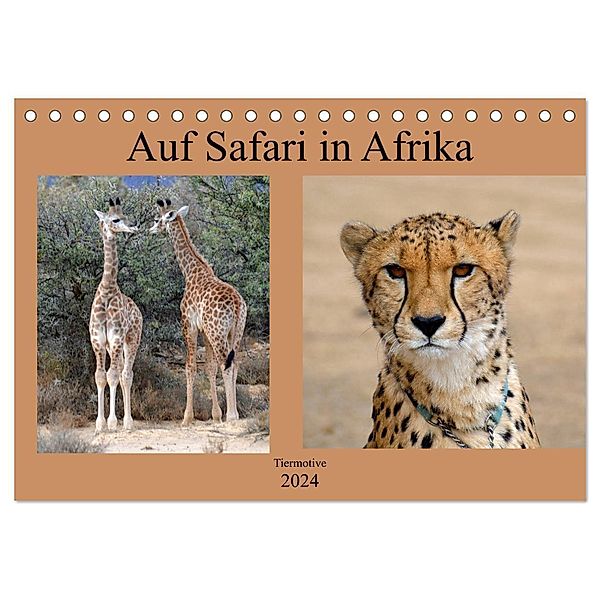 Auf Safari in Afrika (Tischkalender 2024 DIN A5 quer), CALVENDO Monatskalender, Marlen Jürgens