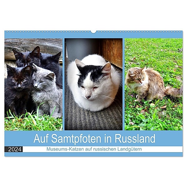 Auf Samtpfoten in Russland - Museums-Katzen auf russischen Landgütern (Wandkalender 2024 DIN A2 quer), CALVENDO Monatskalender, Henning von Löwis of Menar