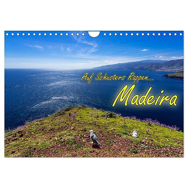 Auf Schusters Rappen... Madeira (Wandkalender 2025 DIN A4 quer), CALVENDO Monatskalender, Calvendo, Joerg Sobottka