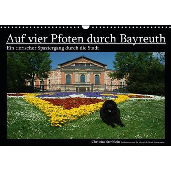 Auf vier Pfoten durch Bayreuth (Wandkalender 2015 DIN A3 quer), Christine Ströhlein