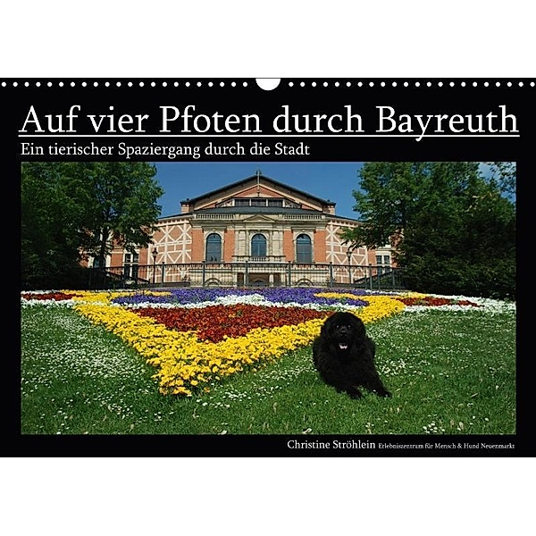 Auf vier Pfoten durch Bayreuth (Wandkalender 2017 DIN A3 quer), Christine Ströhlein