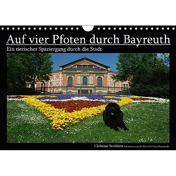 Auf vier Pfoten durch Bayreuth (Wandkalender 2018 DIN A4 quer) Dieser erfolgreiche Kalender wurde dieses Jahr mit gleich, Christine Ströhlein