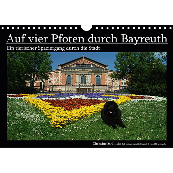 Auf vier Pfoten durch Bayreuth (Wandkalender 2019 DIN A4 quer), Christine Ströhlein