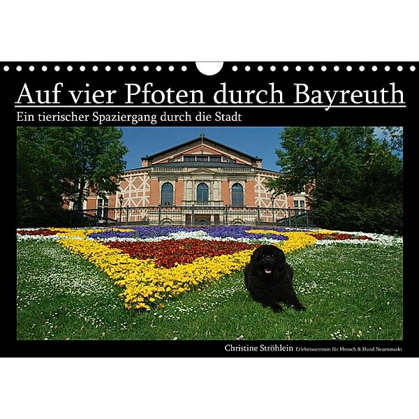 Auf vier Pfoten durch Bayreuth (Wandkalender 2021 DIN A4 quer), Christine Ströhlein