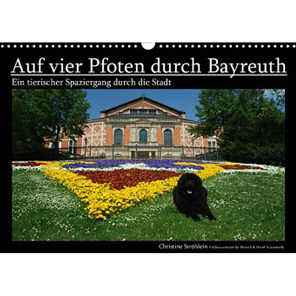 Auf vier Pfoten durch Bayreuth (Wandkalender 2022 DIN A3 quer), Christine Ströhlein