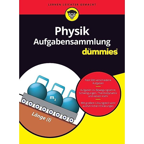 Aufgabensammlung Physik für Dummies / für Dummies, Wiley