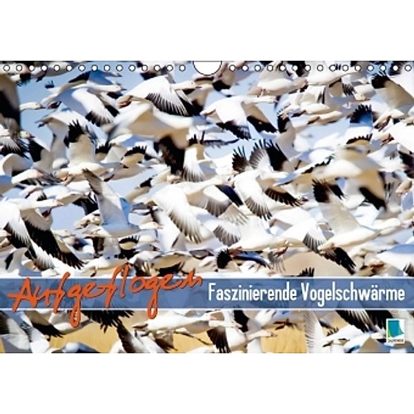 Aufgeflogen Faszinierende Vogelschwärme (Wandkalender 2015 DIN A4 quer), CALVENDO