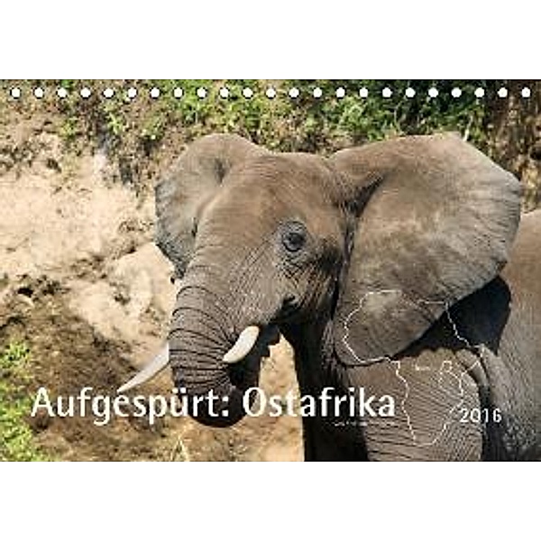 Aufgespürt: Ostafrika 2016 - Tierportraits (Tischkalender 2016 DIN A5 quer), Stefanie Schweers