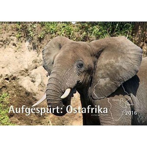 Aufgespürt: Ostafrika 2016 - Tierportraits (Wandkalender 2016 DIN A2 quer), Stefanie Schweers