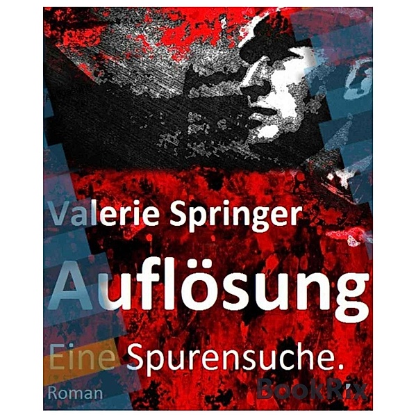 Auflösung, Valerie Springer