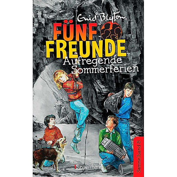 Aufregende Sommerferien / Fünf Freunde Doppelbände Bd.8, Enid Blyton