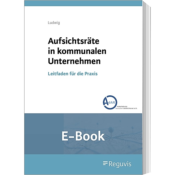 Aufsichtsräte in kommunalen Unternehmen (E-Book), Doreen Ludwig