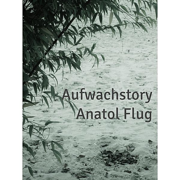 Aufwachstory, Anatol Flug