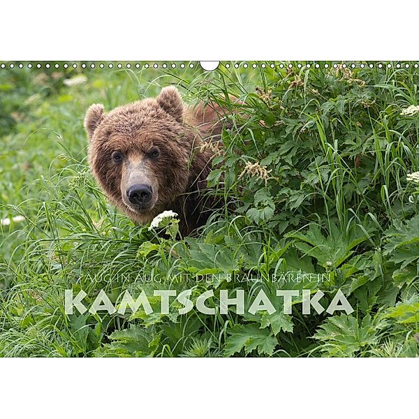Aug in Aug mit den Braunbären in Kamtschatka (Wandkalender 2021 DIN A3 quer), Stephan Peyer