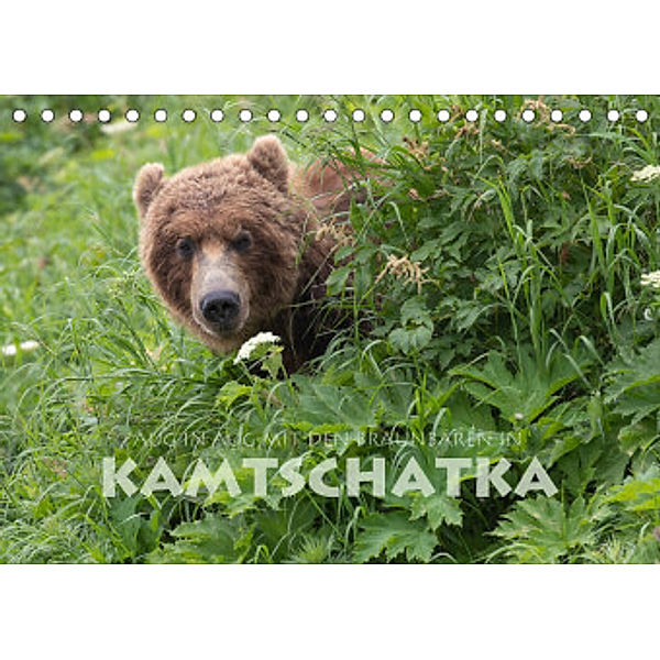 Aug in Aug mit den Braunbären in Kamtschatka (Tischkalender 2022 DIN A5 quer), Stephan Peyer
