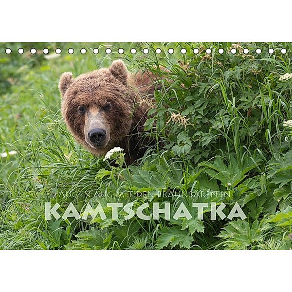 Aug in Aug mit den Braunbären in Kamtschatka (Tischkalender 2023 DIN A5 quer), Stephan Peyer