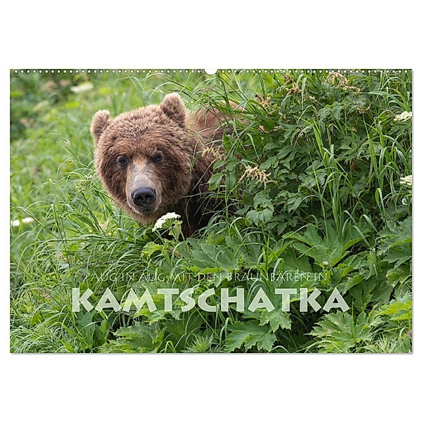 Aug in Aug mit den Braunbären in Kamtschatka (Wandkalender 2024 DIN A2 quer), CALVENDO Monatskalender, Stephan Peyer