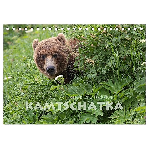 Aug in Aug mit den Braunbären in Kamtschatka (Tischkalender 2024 DIN A5 quer), CALVENDO Monatskalender, Stephan Peyer