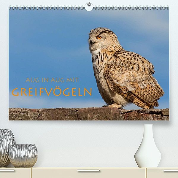 Aug in Aug mit Greifvögeln (Premium-Kalender 2020 DIN A2 quer), Stephan Peyer