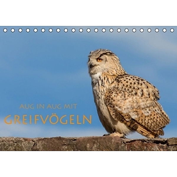 Aug in Aug mit Greifvögeln (Tischkalender 2016 DIN A5 quer), Stephan Peyer