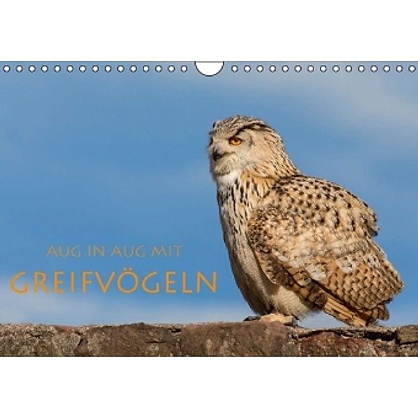 Aug in Aug mit Greifvögeln (Wandkalender 2016 DIN A4 quer), Stephan Peyer