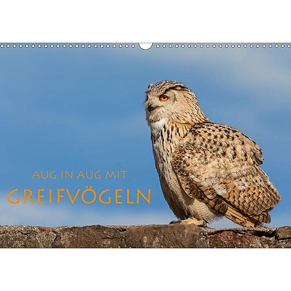 Aug in Aug mit Greifvögeln (Wandkalender 2020 DIN A3 quer), Stephan Peyer