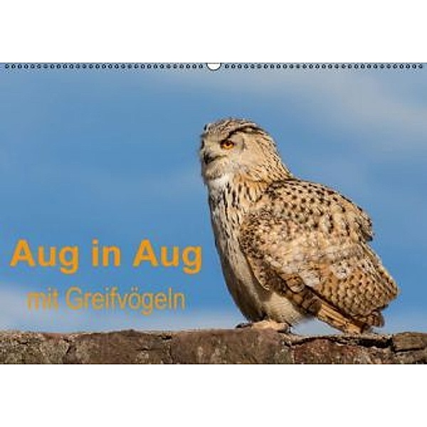 Aug in Aug mit GreifvögelnCH-Version (Wandkalender 2016 DIN A2 quer), Stephan Peyer