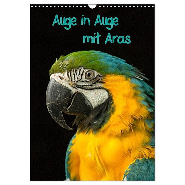 Auge in Auge mit Aras (Wandkalender 2024 DIN A3 hoch), CALVENDO Monatskalender, Marion Bönner