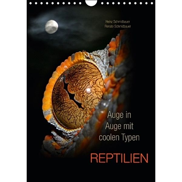 Auge in Auge mit coolen Typen - REPTILIEN (Wandkalender 2016 DIN A4 hoch), Heinz Schmidbauer