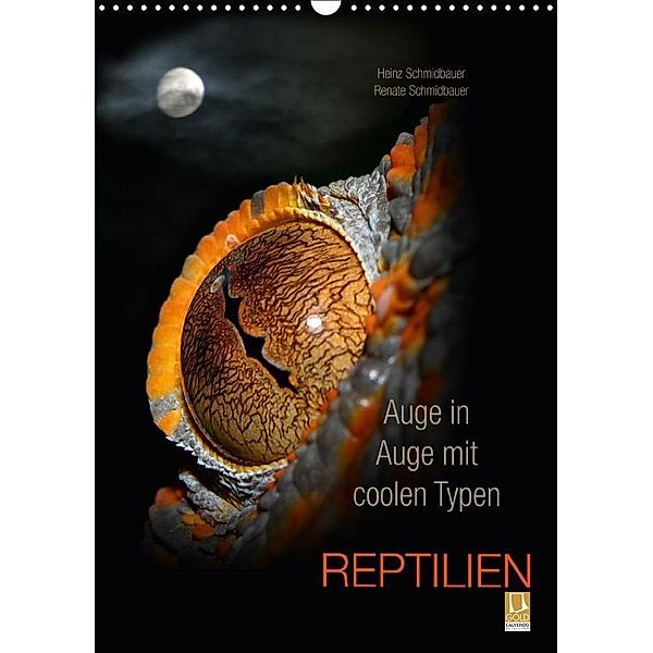 Auge in Auge mit coolen Typen - REPTILIEN (Wandkalender 2017 DIN A3 hoch), Heinz Schmidbauer