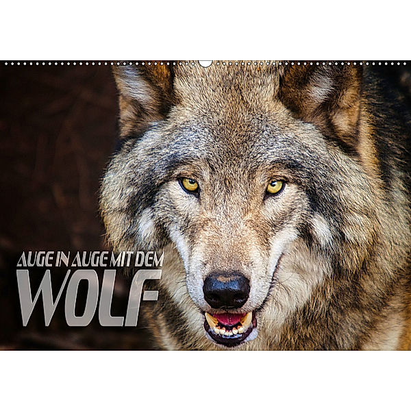 Auge in Auge mit dem Wolf (Wandkalender 2019 DIN A2 quer), Renate Bleicher