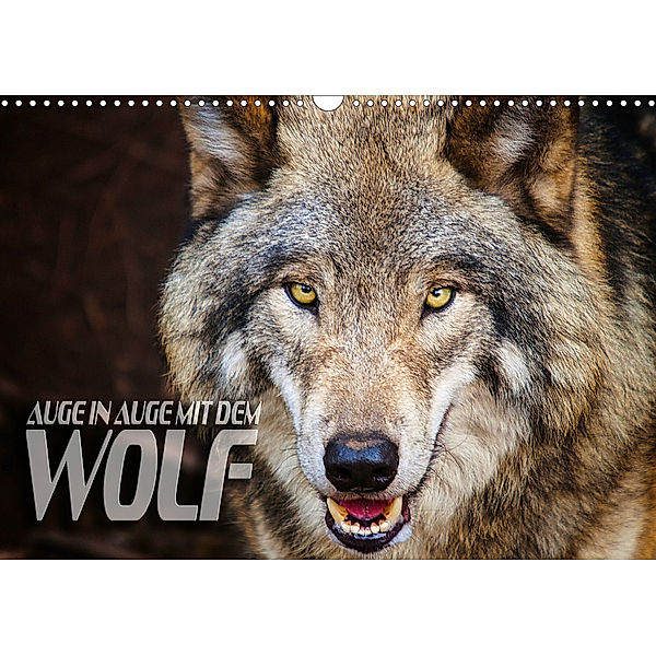 Auge in Auge mit dem Wolf (Wandkalender 2019 DIN A3 quer), Renate Bleicher