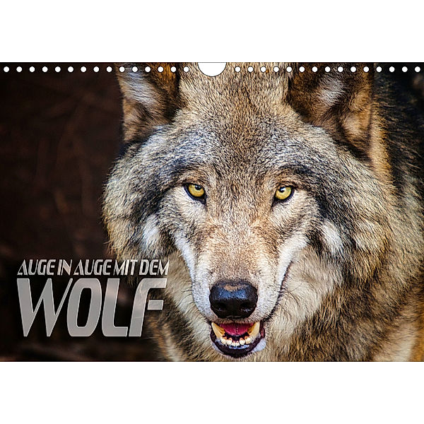 Auge in Auge mit dem Wolf (Wandkalender 2019 DIN A4 quer), Renate Bleicher